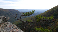 P1000420