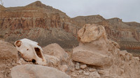 P1010550